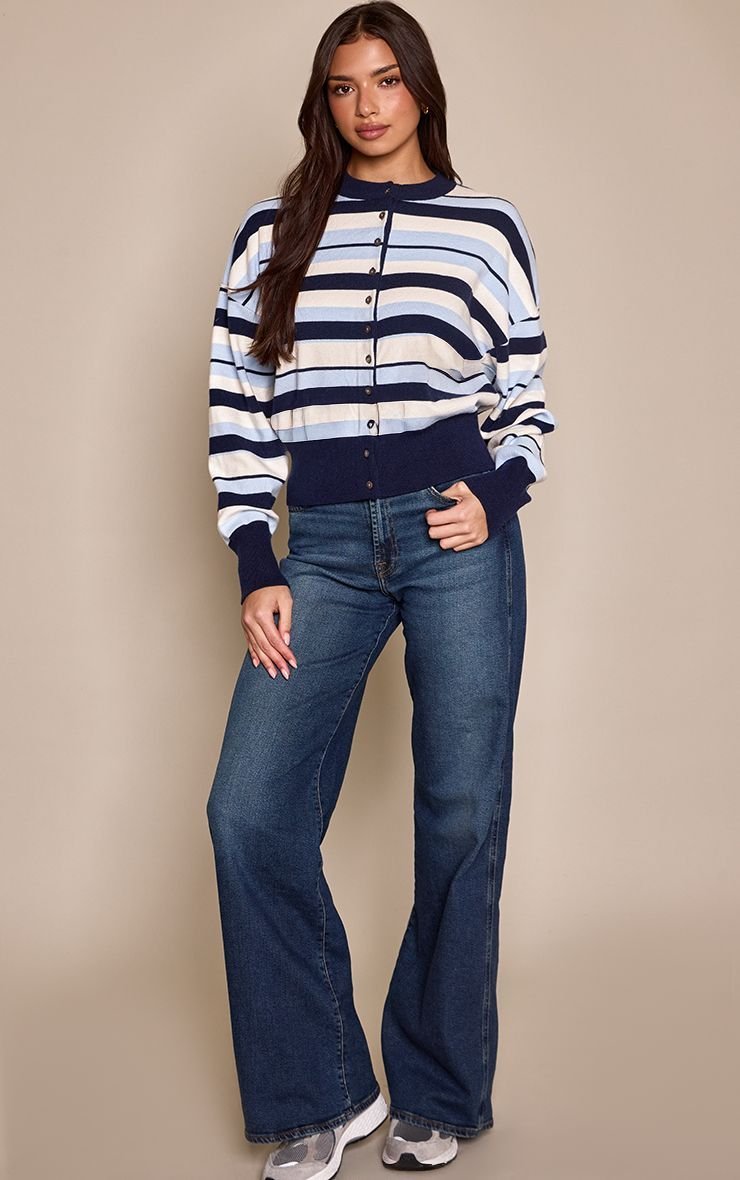 Blue striped cardigan
