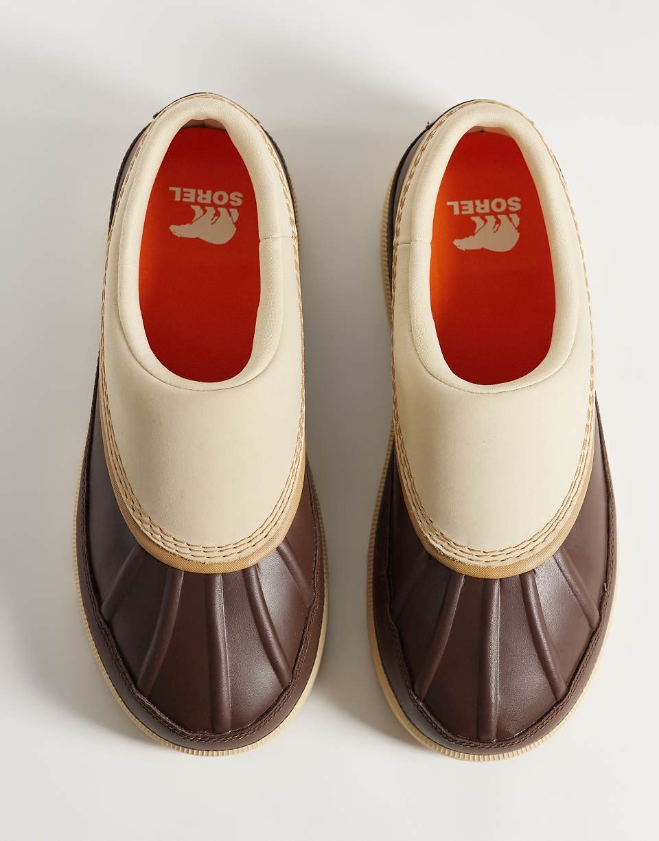 Ambler WP shoes - Beige and brown