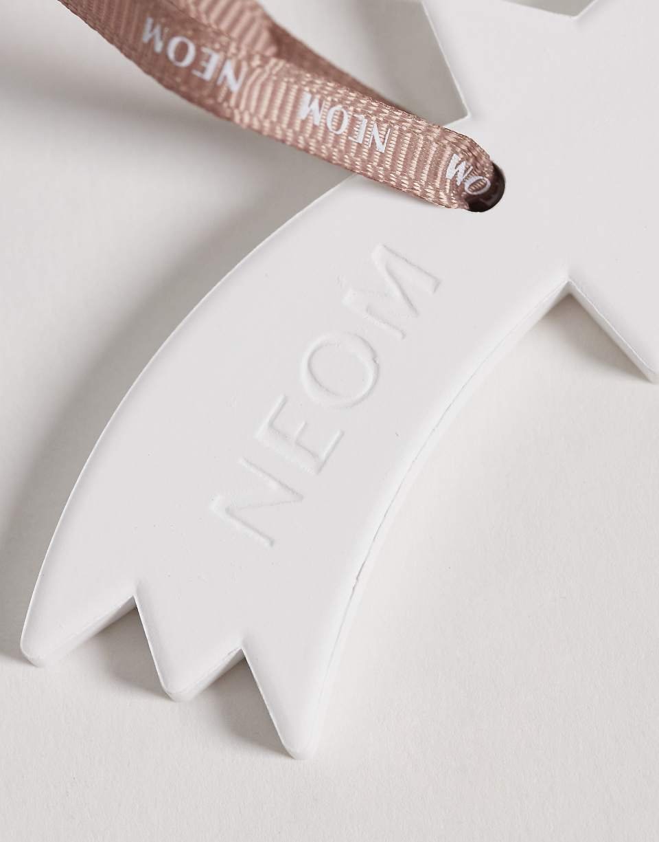 Shooting Star - Natural ceramic diffuser