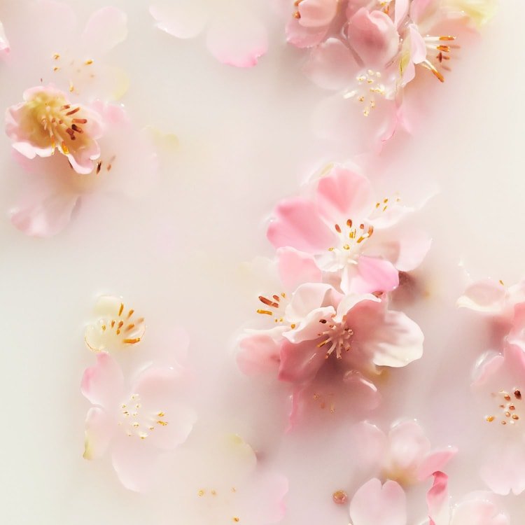 The Ritual of Sakura - Gommage pour le corps